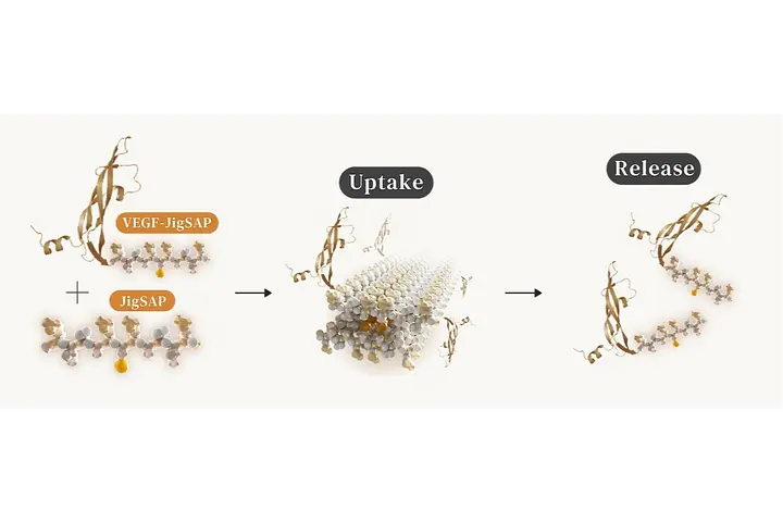 株式会社ケイエスピー（JST・D-Global：ペプチド分子集合体PJ）